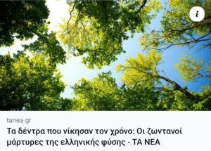 Τα δέντρα με τη μεγαλύτερη ηλικία στην Ελλάδα